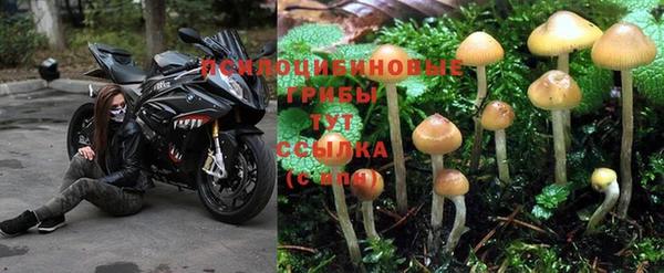 марихуана Абаза