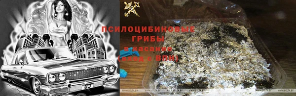 jwh Пересвет