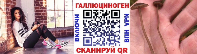 Псилоцибиновые грибы Psilocybe  Кириллов 